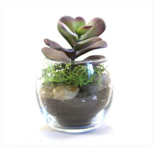 Faux Succulent Planter Main
